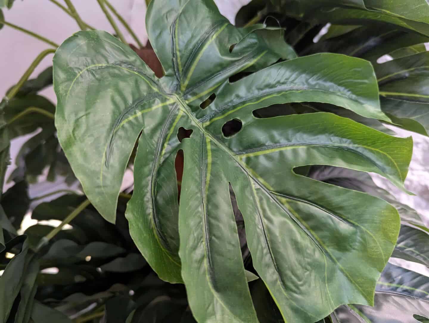 A close up of a leaf on an artificial plant from Blooming Artificial