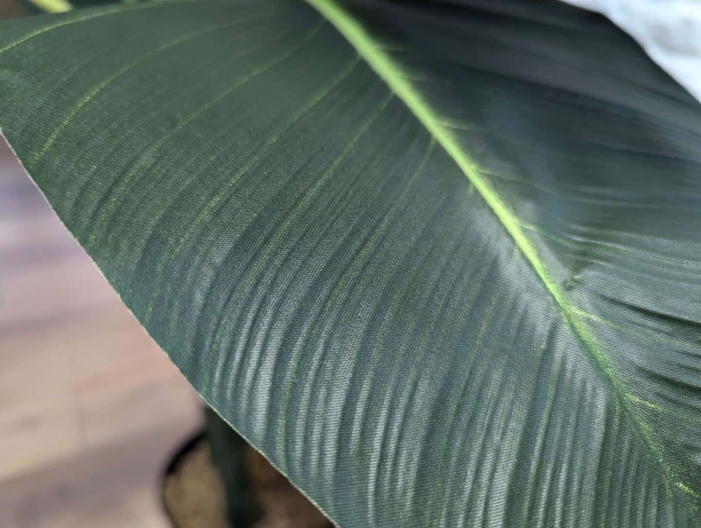 A close up of a leaf on an artificial plant from Blooming Artificial