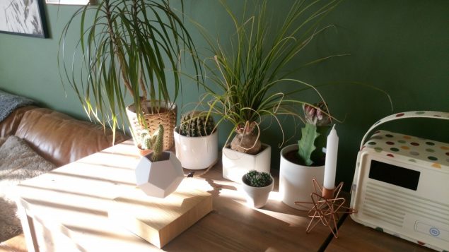 Lyfe Levitating plant pot 