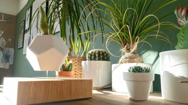 Lyfe Levitating plant pot 