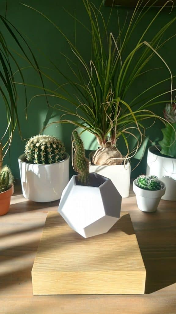 Lyfe Levitating plant pot 