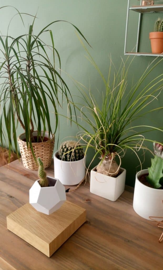 Lyfe Levitating plant pot 