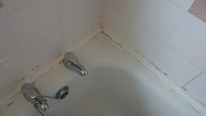 Before image