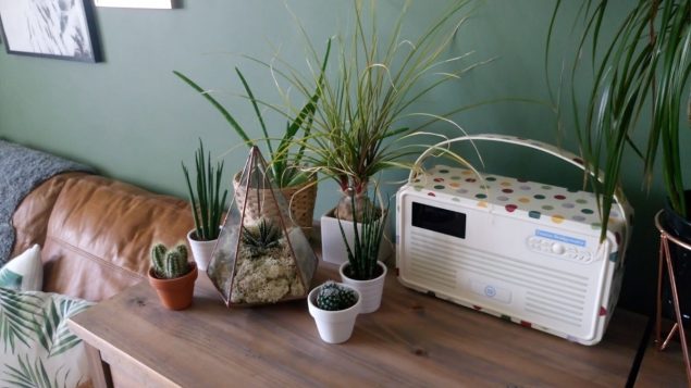The Urban Botanist Copper Terrarium 1