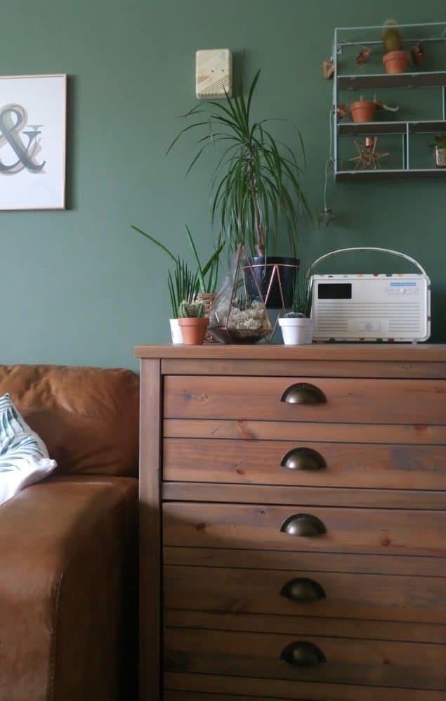 The Urban Botanist Copper Terrarium