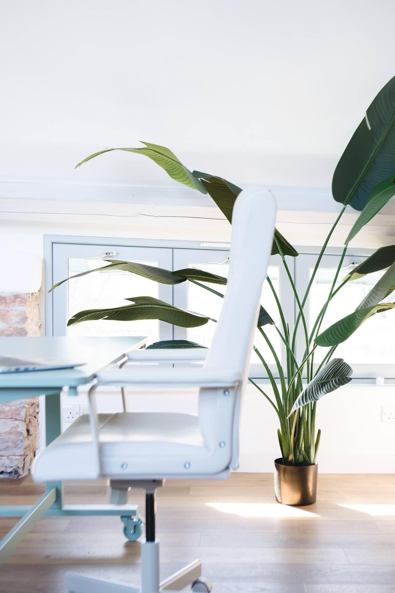 A desk and chair next to an artificial plant from Blooming Artificial in an office