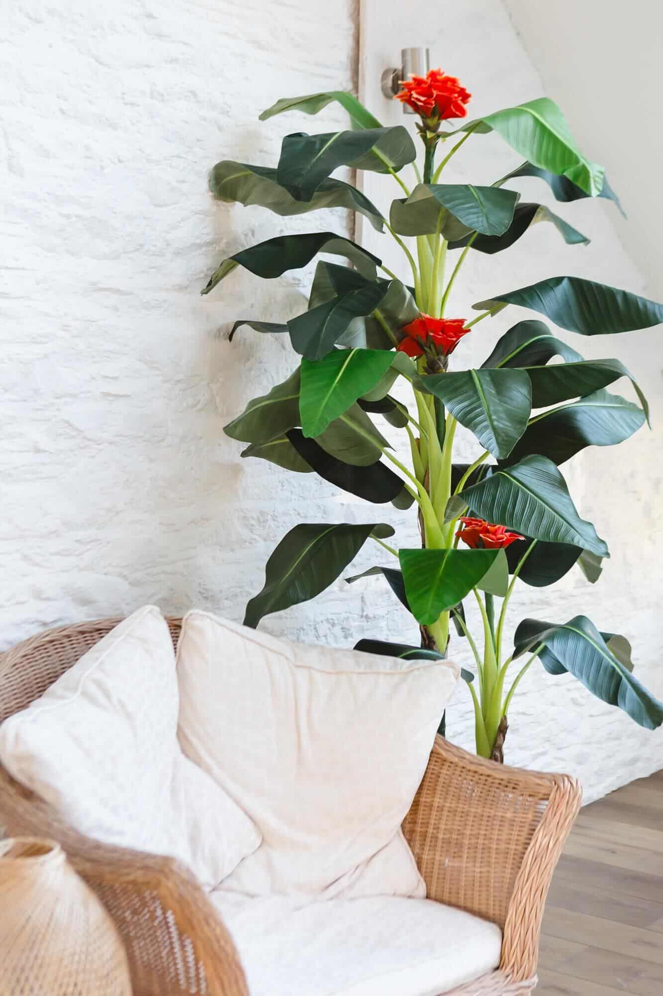 A wicker chair next to an artificial plant from Blooming Artificial with a textured white wall behind
