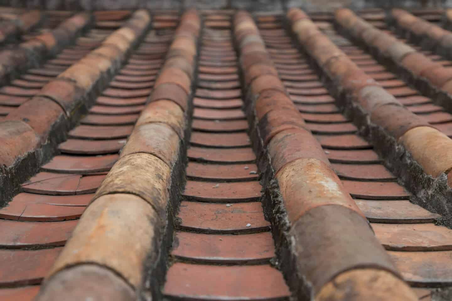 A close up of clay roof tiles